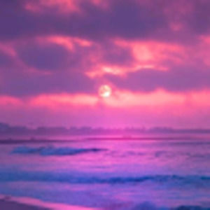 Meet your Posher, Maddison